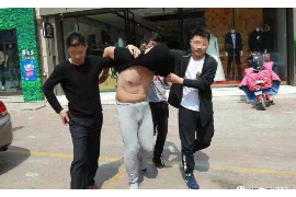 岑巩债务清欠服务